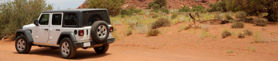 SUV in Arizona